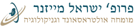 פרופסור ישראל מייזנר – מומחה אולטראסאונד וגניקולוגיה לוגו